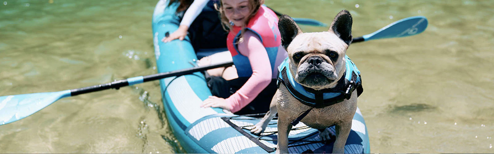 Canine hot sale life jackets